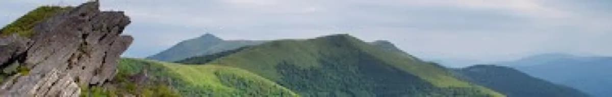 Author page header wrapper