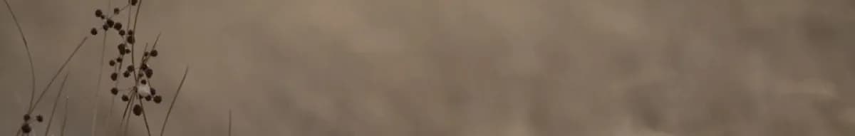 Author page header wrapper