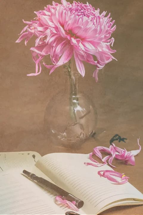 Expression of a fragile love cover