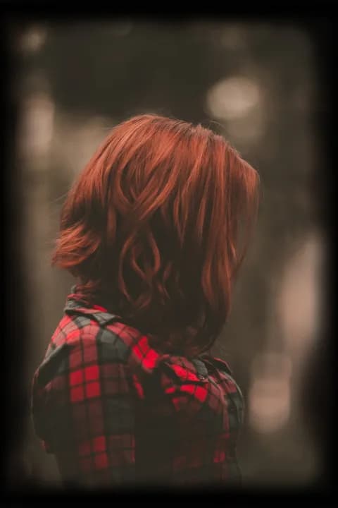 The Gate. Scorched Land cover