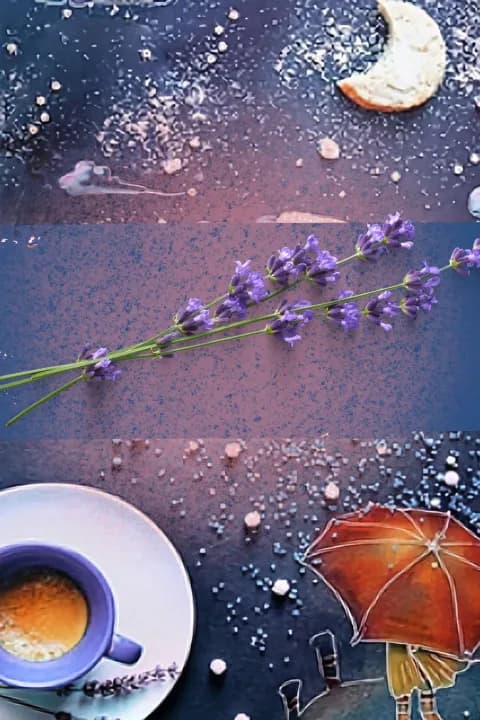 Lavender December cover